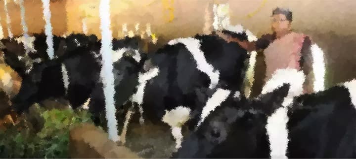 The dairy industry helps farmers by creating employment