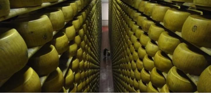 Italy Dairy Boss Crushed To Death By thousands of Cheese Wheel