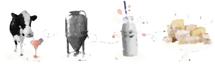 Don’t underestimate the power of a microbe: Precision Fermentation
