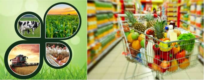 Farmer’s future lies outside farms — in dairy, poultry, food retail