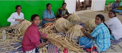 How the regenerative economy can advance social and gender equality