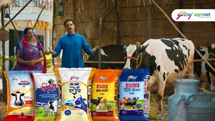 Godrej Agrovet ropes in Jimmy Shergill to endorse cattle feed
