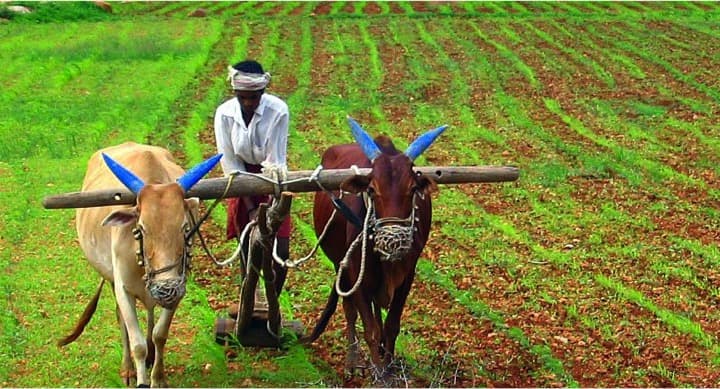 Best Schemes for Farmers in Different Agricultural Sector