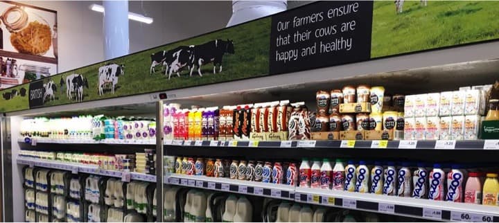 Growth opportunities in the dairy sector
