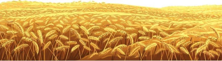 Crop production paying dwindling dividends