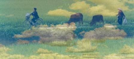 Climate change. Why India refused to sign the ‘Methane Pledge