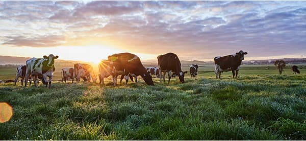 Inflation continues to curb global demand