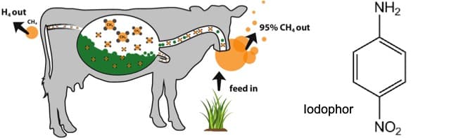 Iodoform mitigates Enteric methane emission of dairy cows