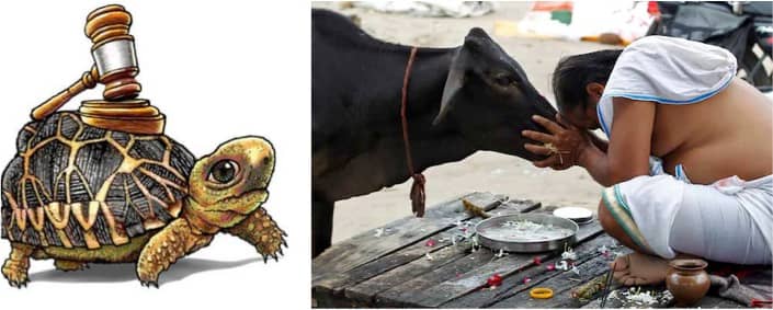 Justice delayed is justice denied; Why delay the law to protect milk label ?