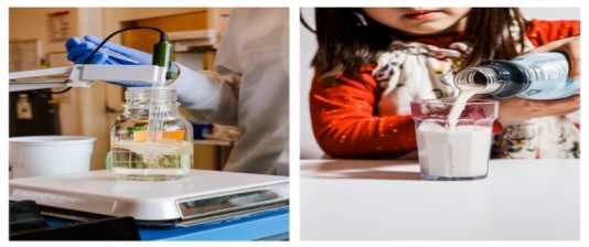 How single-celled yeasts are doing the work of 1,500-pound cows