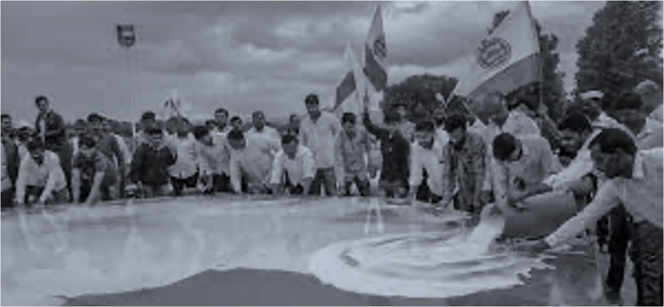 Why govt subsidy might prove to be non-starter for dairy farmers in Maharashtra?