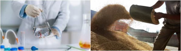 Microplastics: Polluting our blood, foetuses – and dairy and meat we eat