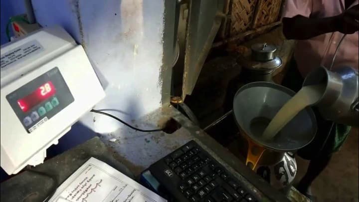 TN Govt hikes procurement price for high fat milk