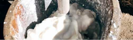 How milk tamed the Third Pole-3,500-year history of dairy