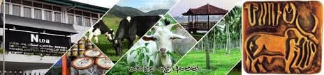 Sri Lanka to get help from India’s NDDB to develop dairy industry
