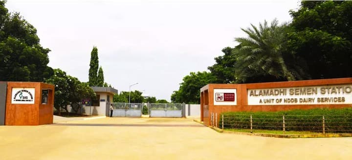 NDDB’s arm working to conserve, promote unique breeds of cows