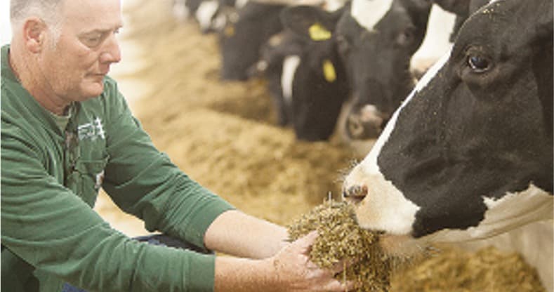 WORLD DAIRY NEWS Nestlé’s mission to cut emissions