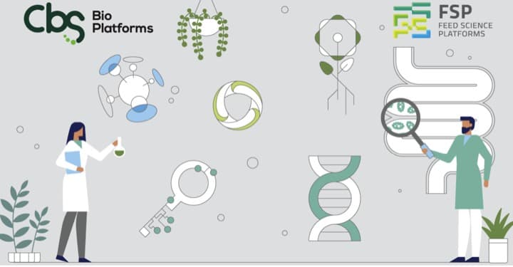 New feed tech supports dairy net zero goals, higher milk yields