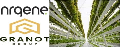 NRGene and Granot Group Develop Elite Varieties for Vertical Farming