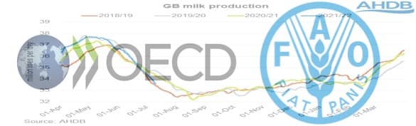 Dairy summary of the FAO & OECD Agricultural Outlook 2022-2031