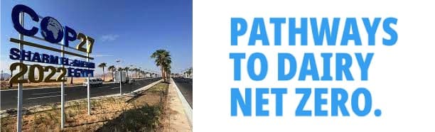 Dairy Sector Reports Progress on Global Pathways to Dairy Net Zero