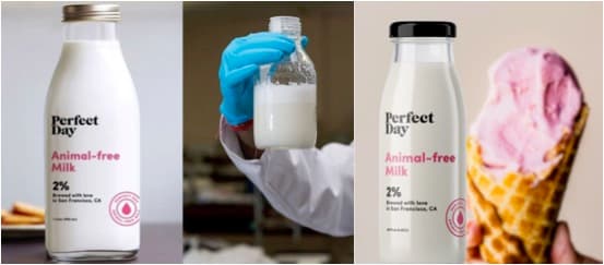 A startup is making ‘real’ milk, cheese, and ice-cream without cows