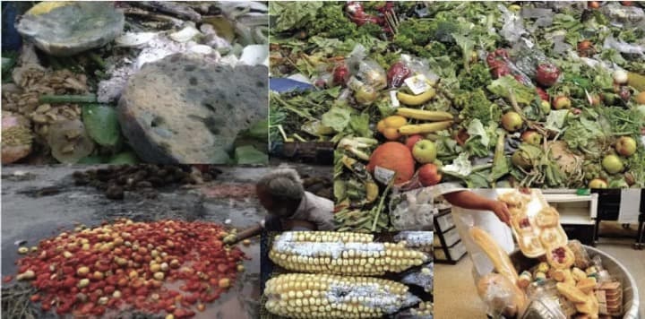 Farmers’ gains hinge on curbing post-harvest losses