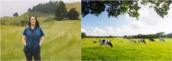 Global dairy market fundamentals are likely to remain under stress