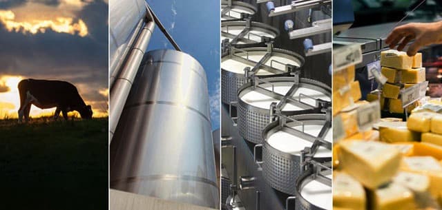 Global Dairy Quarterly Q3 2023: Progressing Past the Pain