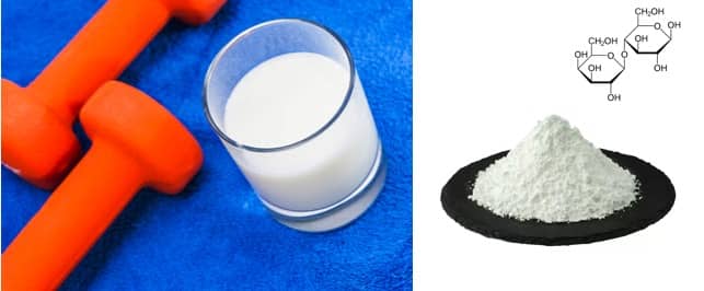High growth for sports nutrition is to fuel the lactose demand