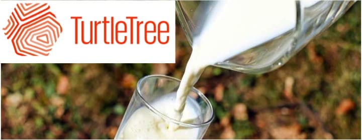 Will cell-based milk change the dairy industry? Turtle Tree Lab will