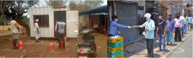 Farmer-owned cooperatives shielded dairy farmers