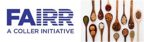 Alternative proteins are now big business and driving growth :FAIRR report