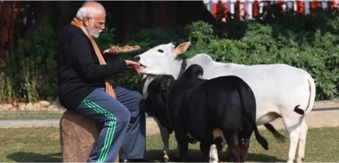 India’s Dairy Production Model: Narendra Modi