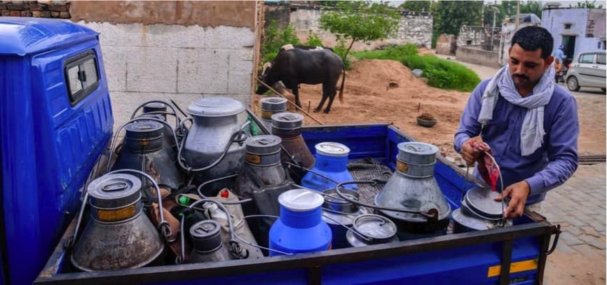 J&K’s milky way: Tapping dairy farming potential in the valley