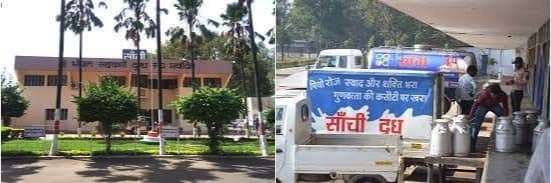 Dairy farmers in MP demands higher prices for their raw milk