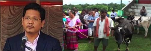 Meghalaya CM Conard K Sangma lays foundation of new dairy complex