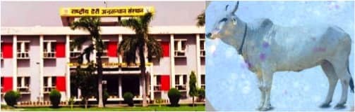 NDRI to set benchmark for milk cells across India