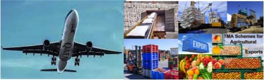 Agri transport and marketing plan extended to dairy, aid hiked