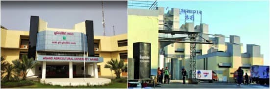 AAU, Amul Dairy ink MoU for liquid biofertilizer tech