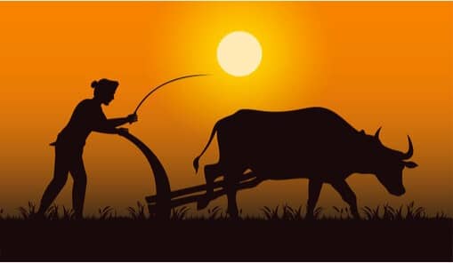 Amul model’ best for farmers, say Agri experts in a National seminar