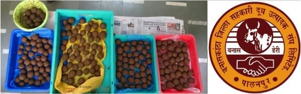 Banas Dairy to drop seed bombs on mountains near Ambaji temple