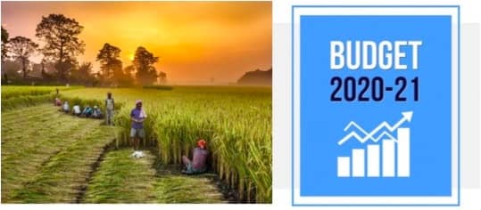 Can the next budget unleash a grass-root revolution in India?