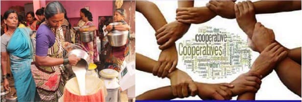 DAIRY POLICY A leaf out of Telangana’s Cooperatives : Collective Action