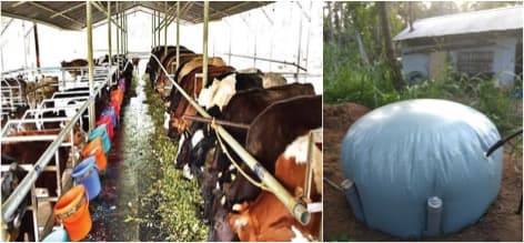 Bhoumadeepam aims to reduce methane gas emission in Kerala