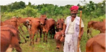 PM Modi lauds contribution of dairy farming in the Farmer’s Income
