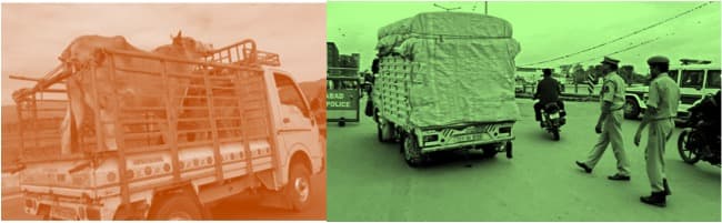 Dairy farmers demand withdrawal of anti-cow slaughter legislation