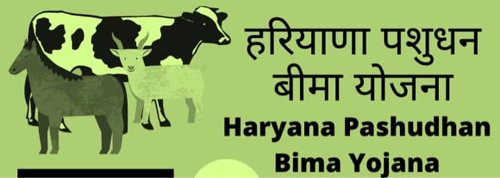Samuhik Pashudhan Bima Yojana discontinued, rearers anxious