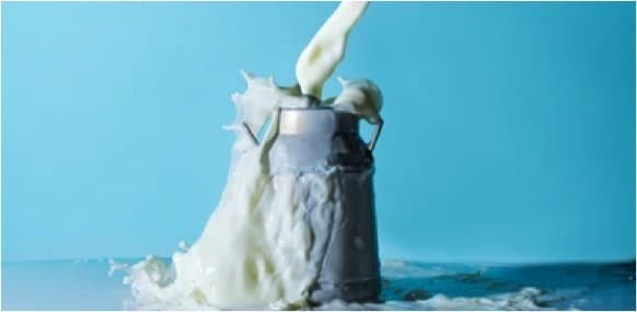 Kupwara district produces 15.39 crore liters of milk a year