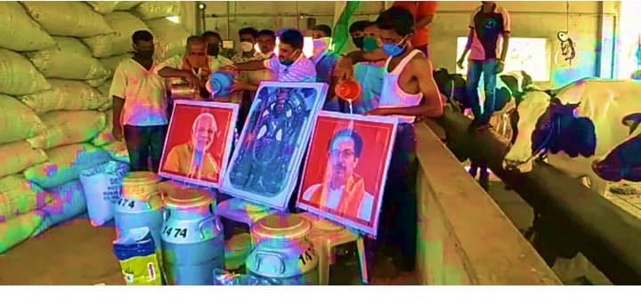 Private dairies in Maharashtra reduces milk procurement prices